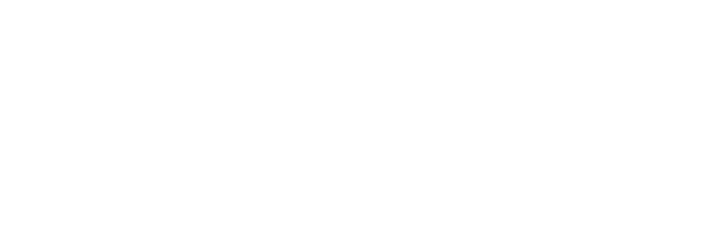 MicBee Transportation logo